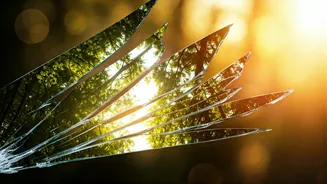 Cancelled Dreams: Understanding Disappointment and Moving On