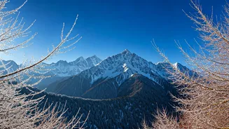 Kashmir Valley's Cold Grip Intensifies: Mercury Dips Sharply