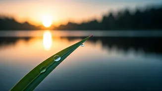 Love Horoscope April 13, 2026: Embrace Solitude for Deeper Connections