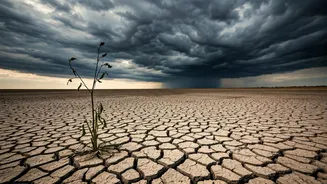 El Niño Risk Has Entered Consumer Spending