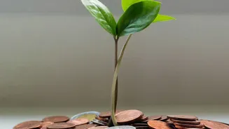 How To Invest In Equity Funds In Your 20s: Index Versus Multi-Cap Comparison