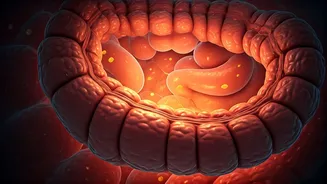 Unlocking India's Health: The Gut's Crucial Role in Nutrition and Well-being