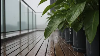 Keep Your Home Green Throughout The Rainy Season