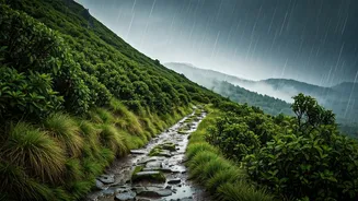 Monsoon Trails Are Beautiful But Demand Extra Caution