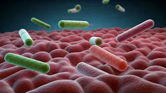 10 Ways to Protect Your Gut Health