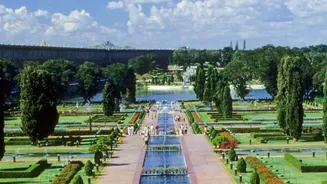 Floral Fountains Will Join Road Repairs in NDMC's BRICS Plan