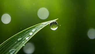 Clean Water Is Your First Monsoon Shield