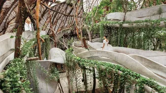 What is biophilic design?