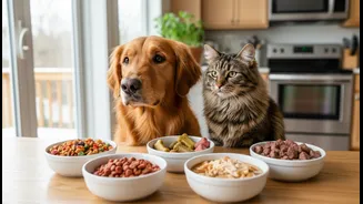 Pet Food Selection Needs Context About Life Stage And Health
