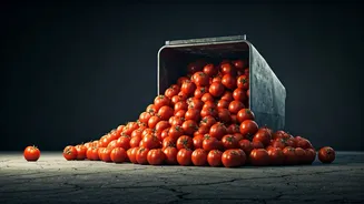 Gurugram's La Tomatina Festival: From Excitement to Outrage Over Safety and Waste