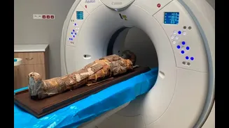 Exame de tomografia revela objeto guardado no peito de uma múmia infantil