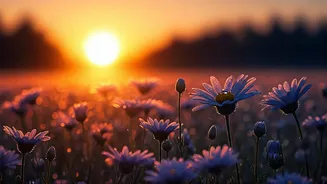 Conquer Your Mornings: 5 Powerful Affirmations for a Purposeful and Peaceful Day