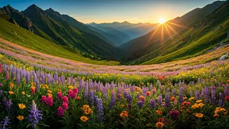 Valley Of Flowers 2026 Season Starts With Spectacular Reports