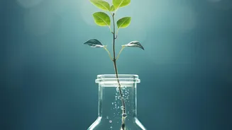 Why Equity Mutual Fund SIPs Are Popular Among Young Earners Seeking Rapid Portfolio Growth