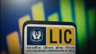 NSE completes $2.4 billion IPO with LIC biggest bidder