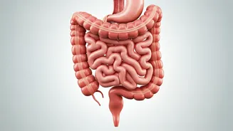 Boost Gut Health: Morning Habits Beyond Caffeine