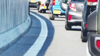 Vehicle Queues Can Turn Conservation Tourism into Disturbance