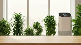 Sustainable Interiors Combat Toxic Indoor Pollution Levels Across Crowded Cities
