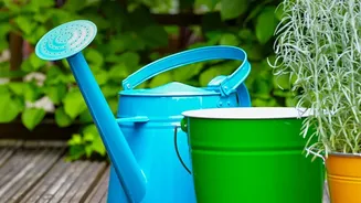Why Apartment Gardeners Are Installing Modular Rain Shields For Monsoon Plant Protection