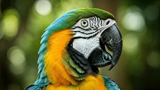 Parrot Facts: You Won't Believe Number 5