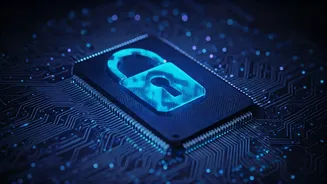Cybersecurity Leads Advise Users Double Check Sender Identity On Messages