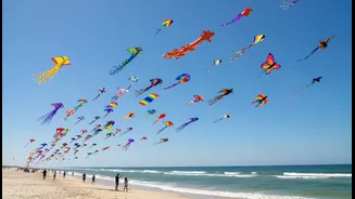 Tamil Nadu's International Kite Festival: A Colourful Family-Friendly City Break, Beach Access, Weather And Festival Timings And The Main Caveat