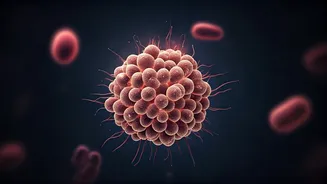 Gut Health Is Becoming A Daily Priority