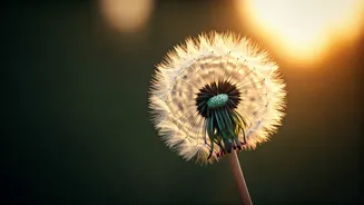 Unlocking Inner Peace: Let Go of Expectations, Embrace the Gita's Wisdom
