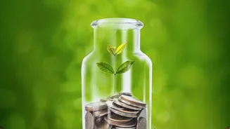 Why stable jobs need emergency funds