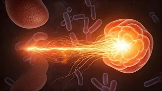Gut Balance And Immunity Are Diet Planning Stars