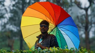 First-rain trip trend: Munnar, Wayanad or Coorg — which place feels magical before monsoon crowds arrive