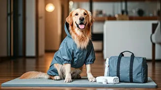 Monsoon Pet Care Just Got Easier
