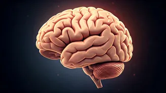 Unraveling Parkinson's: Causes, Symptoms, and Impact