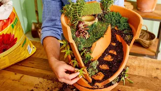 Creative ways to reuse broken pots in your garden