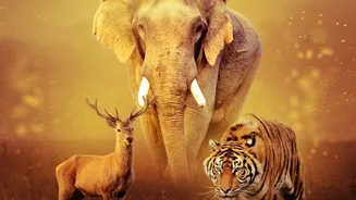 The Practical Lesson From Ranthambore's New Booking-Season Surge Involves Flexible Safari Dates
