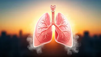 Children's Lungs Under Siege: How Air Pollution Harms Kids & What Parents Can Do