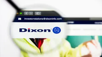 Dixon Technologies shares get their lowest target as Morgan Stanley sees another 15% downside