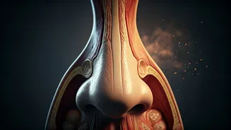 Urban Allergies: What's Making Our Sinuses Suffer?