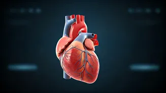Protect Your Heart: Food, Signs, and Actions
