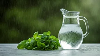 Clean Hydration Defines The Rainy Wellness Plate