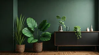Your Plant Corner Needs A Tropical Main Character