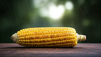 India's Timeless Monsoon Favourite Is Here