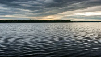 Noida Techie Drowning: A Tragedy Unfolds