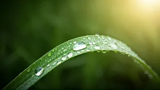 The SPF Mistake Many Make During Monsoon