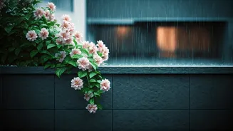 Jasmine Makes Rainy Balconies Feel Like Poetry