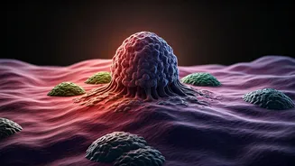 Adult Weight Gain Sparks Fivefold Cancer Risk: A Life-Course Perspective