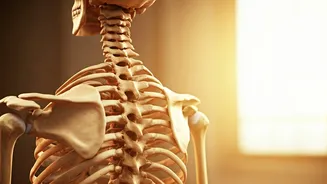 Sunlight's Paradox: Unveiling Vitamin D Gaps Despite Indian Sunshine & How to Fix It