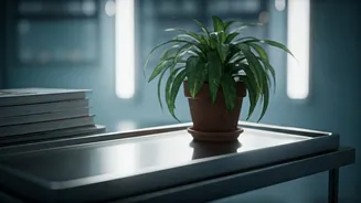 Kerala Temple Feast Outbreak: Over 150 Fall Ill Amid Suspected Food Poisoning