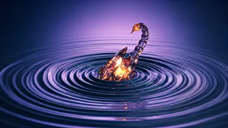 Related Stories banner