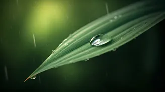Monsoon Skin Needs More Care Than Ever